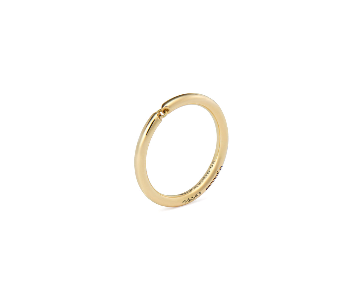 4g segment ring
